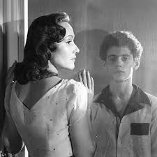 El niño y la niebla : Foto