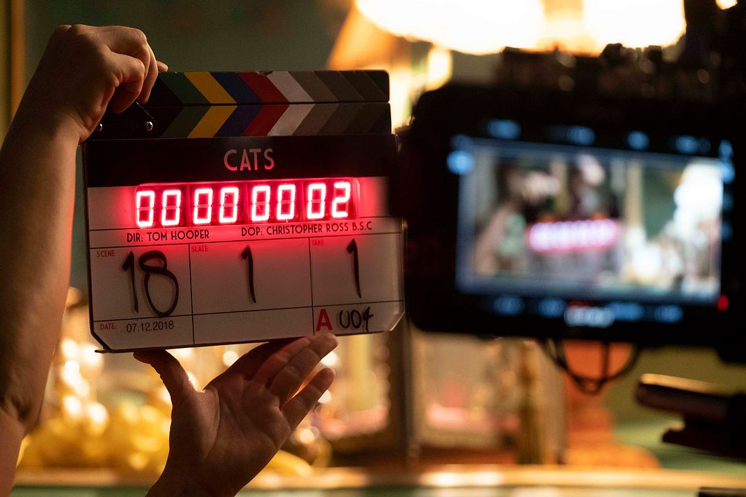 Cats : Cobertura de revista