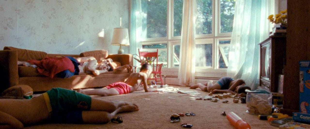 We The Animals : Foto