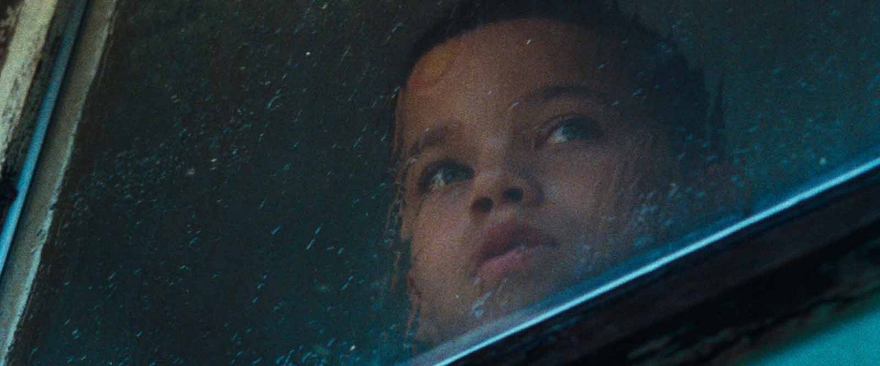 We The Animals : Foto