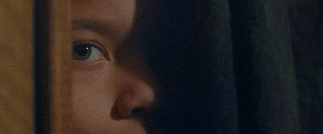 We The Animals : Foto