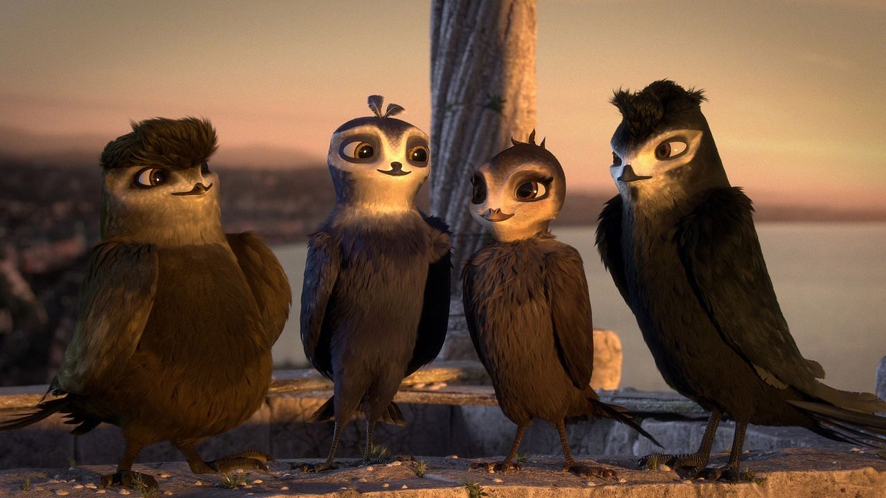 Pajaritos a volar : Foto