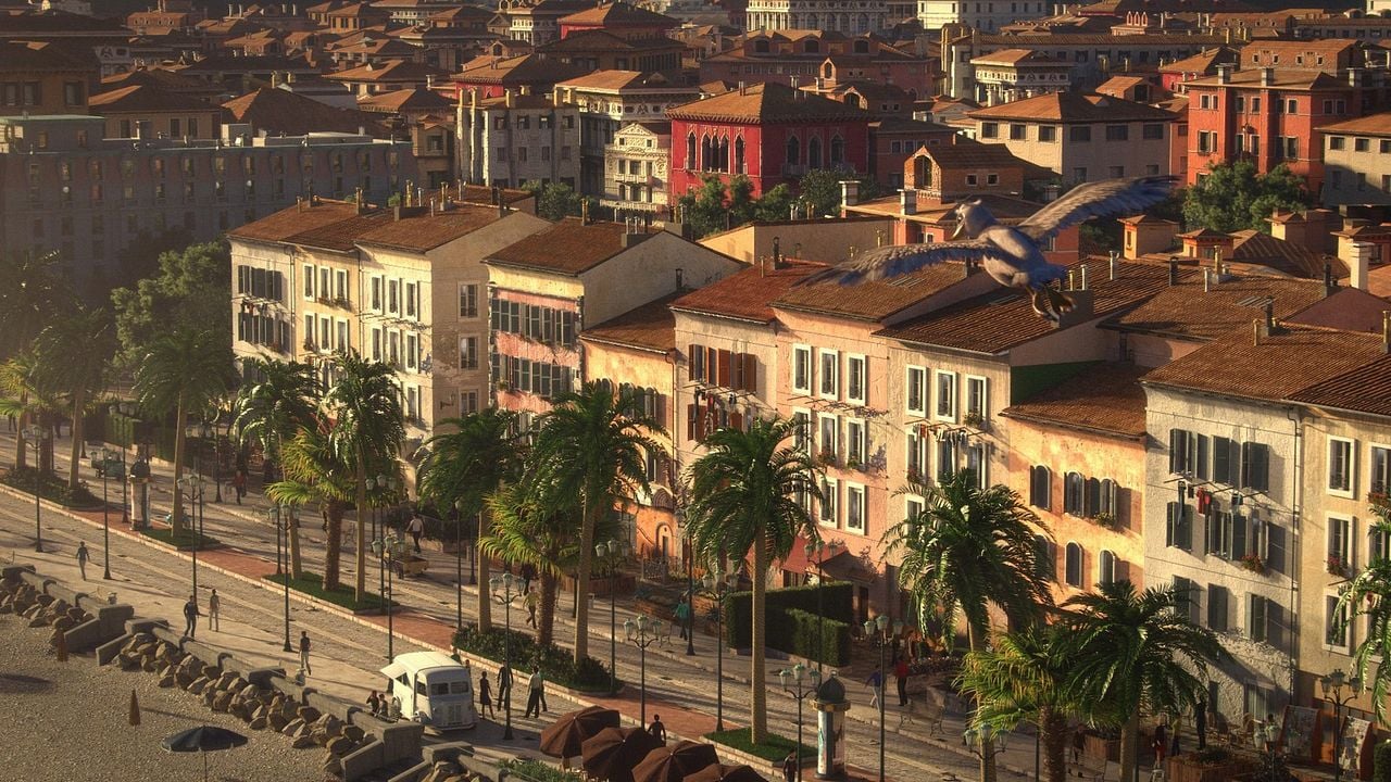 Pajaritos a volar : Foto