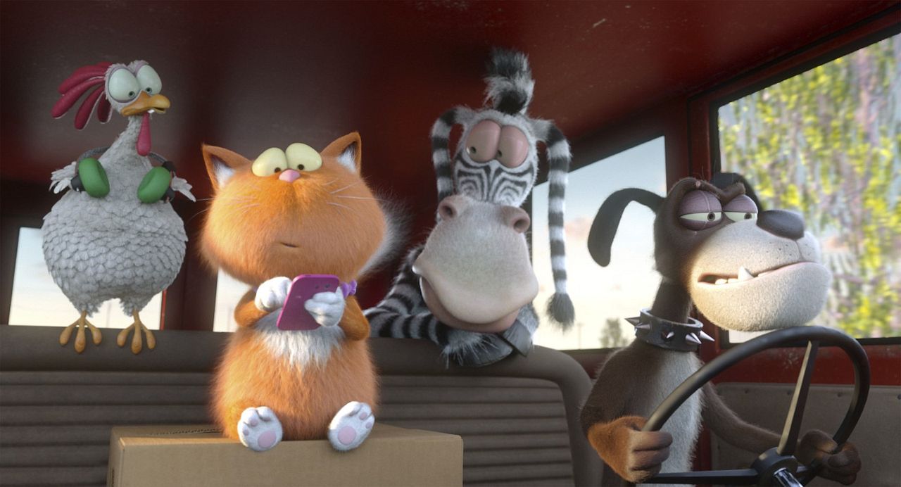 Agente 00 - gato : Foto