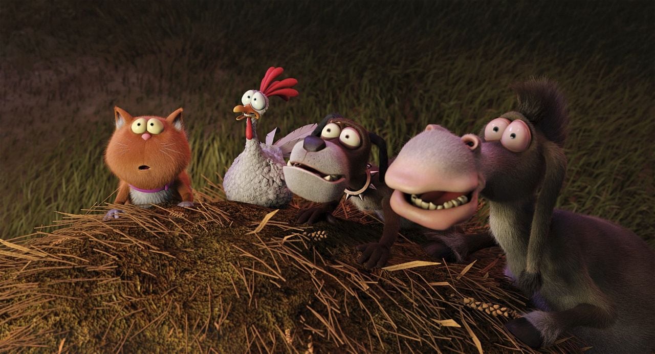 Agente 00 - gato : Foto