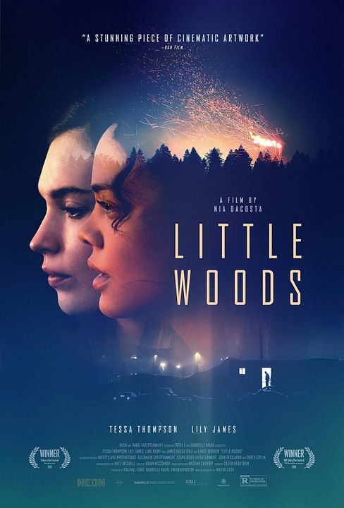 Little Woods : Póster