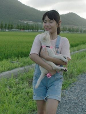 Kokdu: A Story of Guardian Angels : Póster