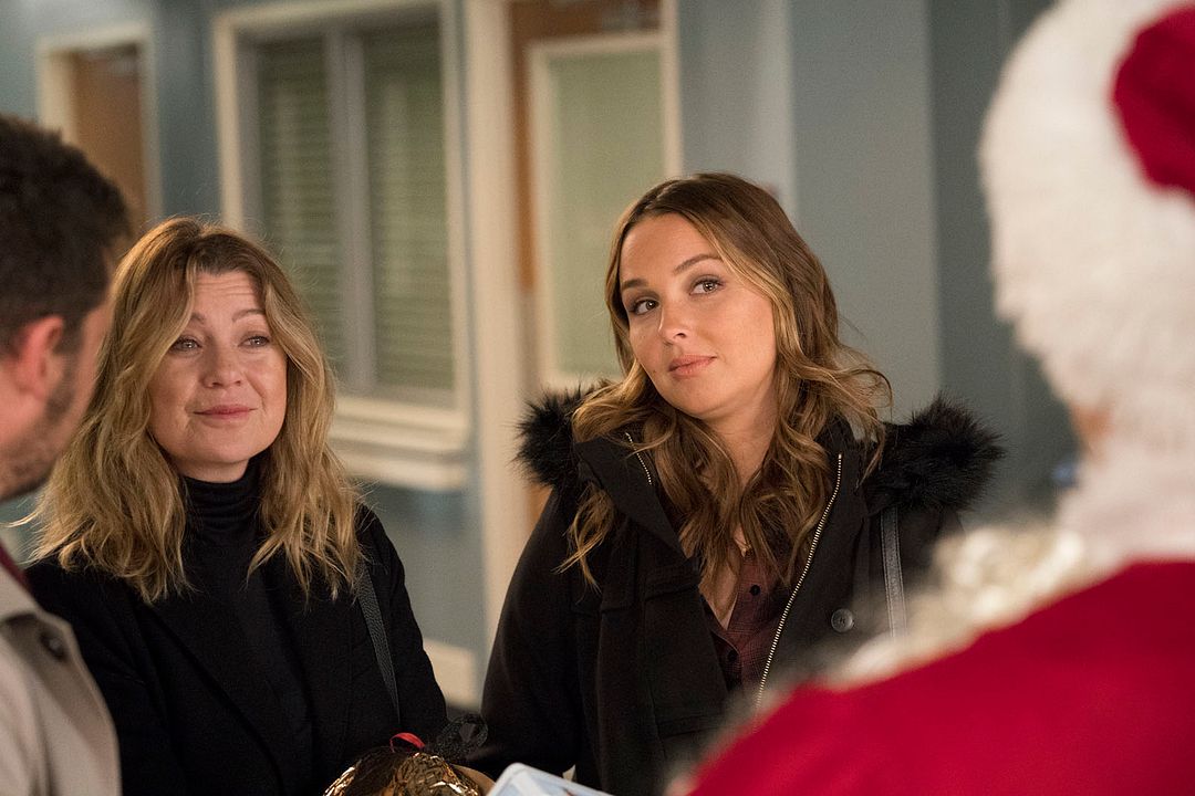 Grey's Anatomy : Foto Ellen Pompeo, Camilla Luddington