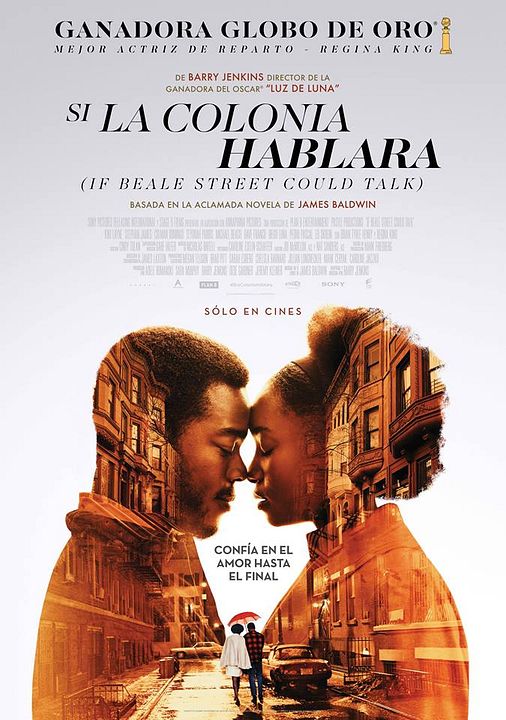 Si la colonia hablara : Póster