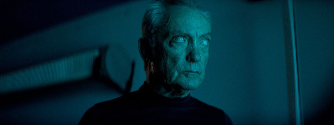 La fiera y la fiesta : Foto