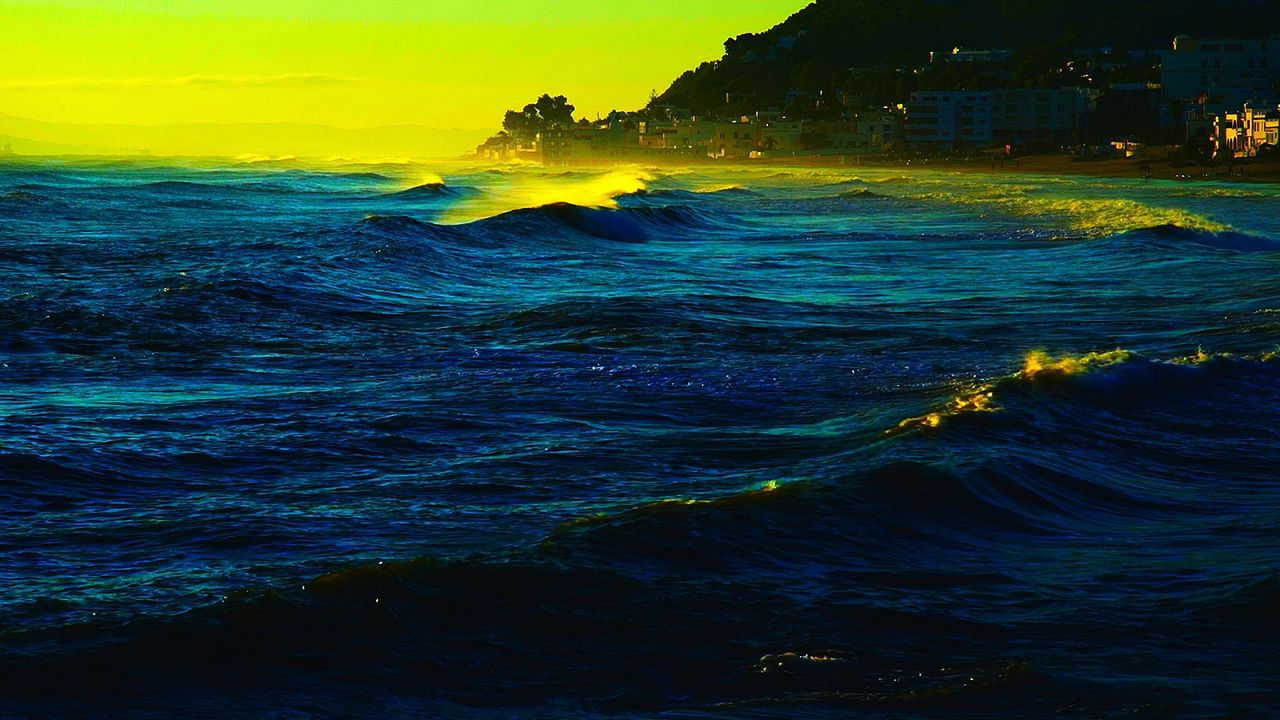 El libro de imágenes : Foto