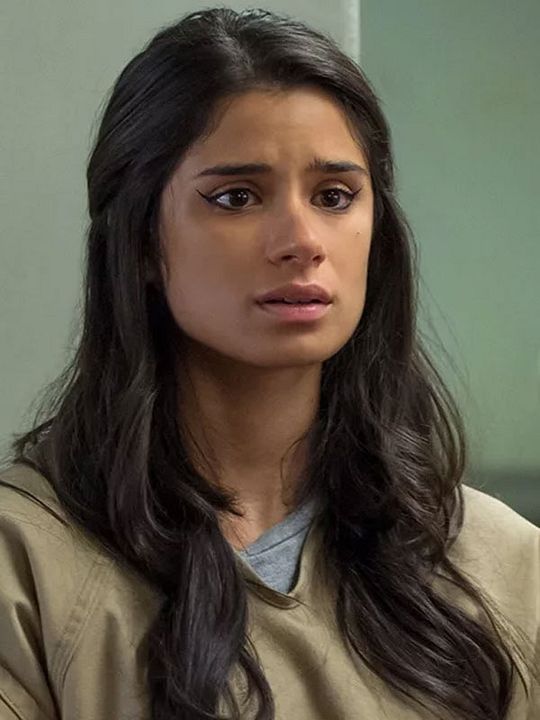 Póster Diane Guerrero