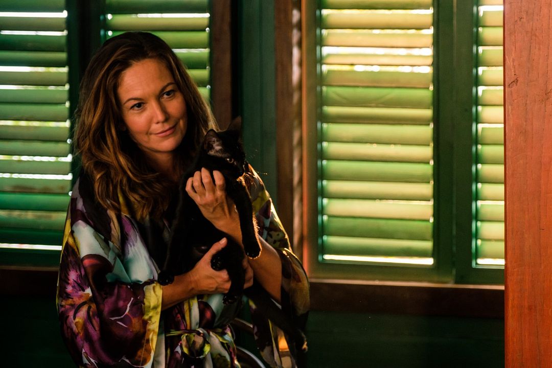 Obsesión : Foto Diane Lane