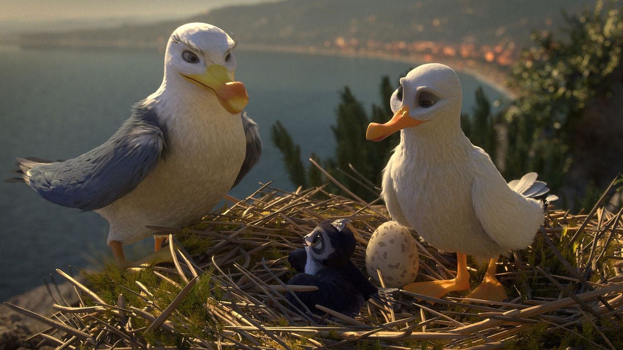 Pajaritos a volar : Foto