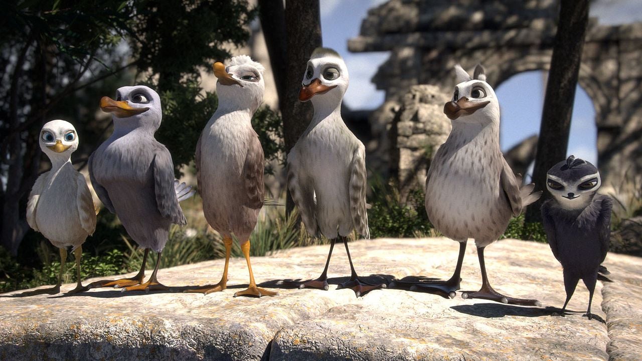 Pajaritos a volar : Foto