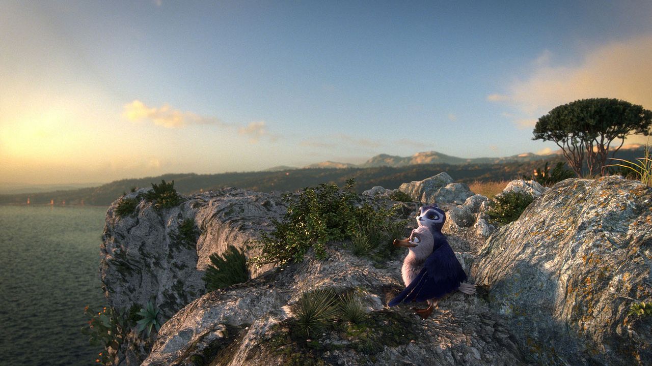 Pajaritos a volar : Foto