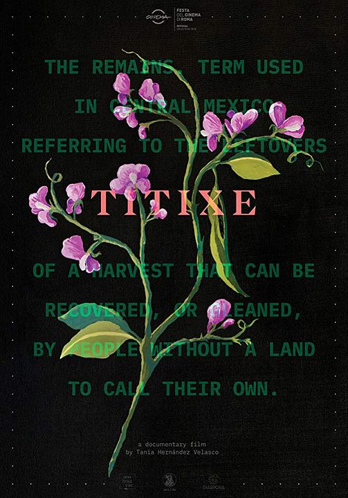 Titixe : Póster