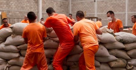 45 días en Jarbar : Foto