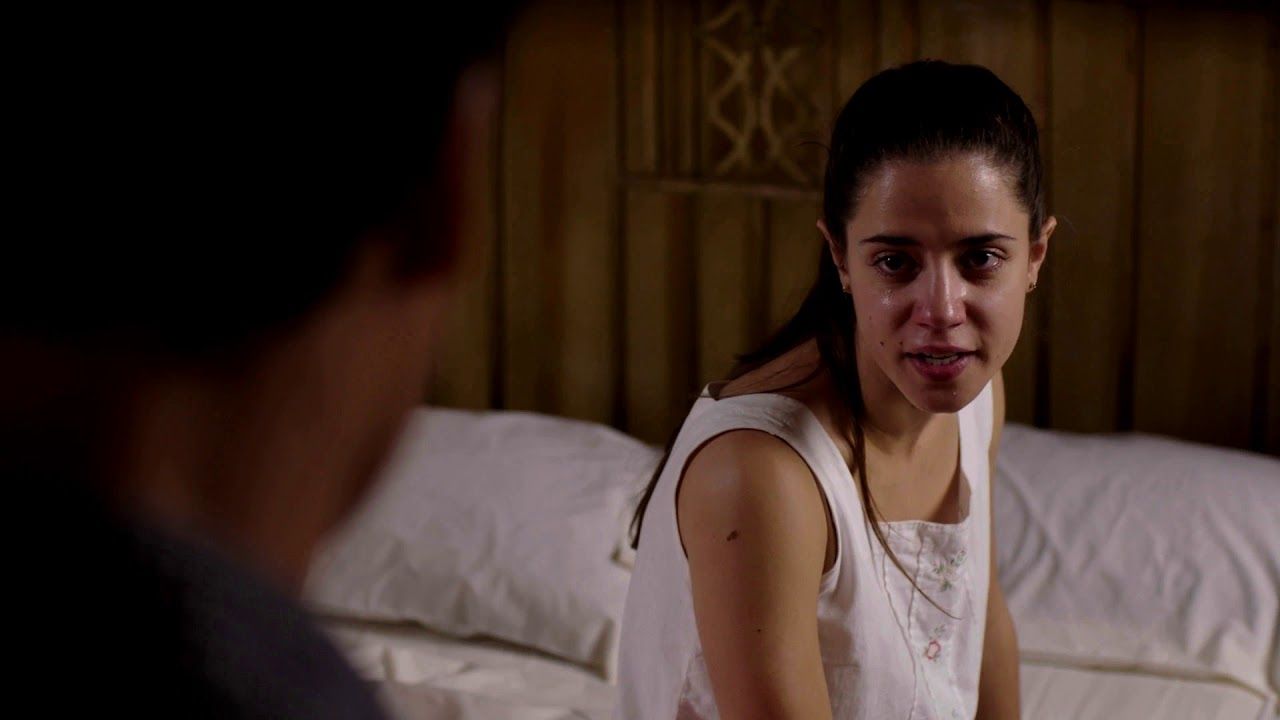 Nido de mantis : Foto