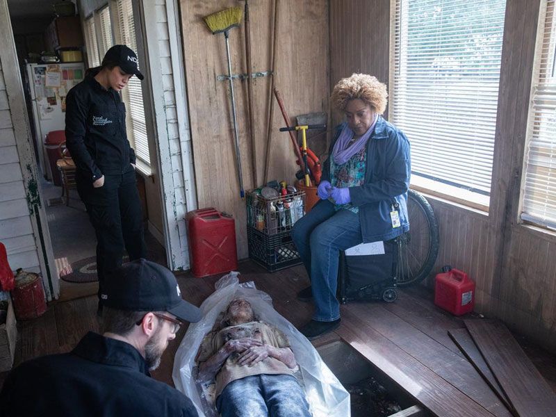 NCIS: Nueva Orleans : Foto CCH Pounder, Vanessa Ferlito