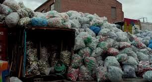 El Cuarto Reino : Foto