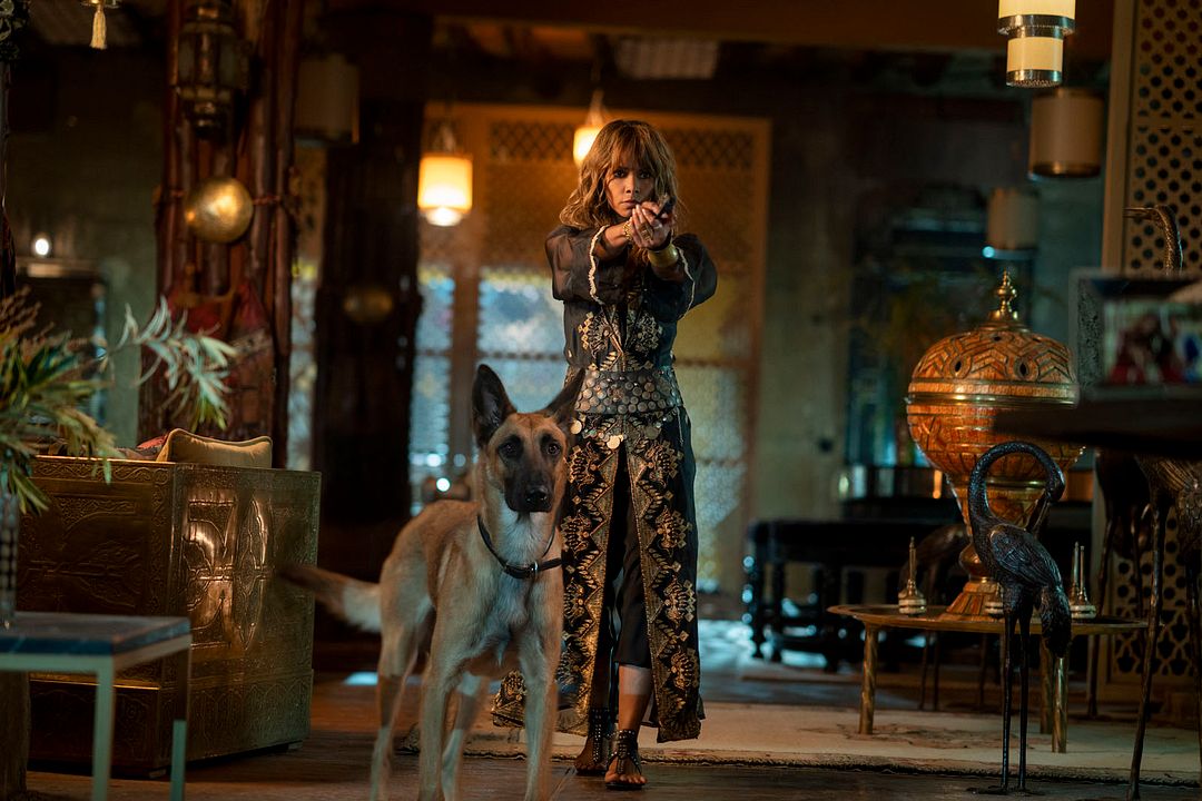 John Wick 3: Parabellum : Foto Halle Berry