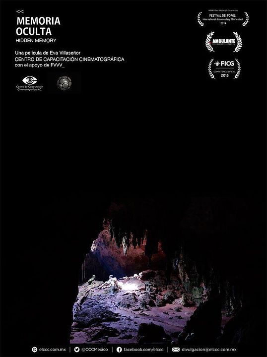 Memoria Oculta : Póster