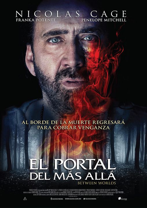 El portal del más allá : Póster
