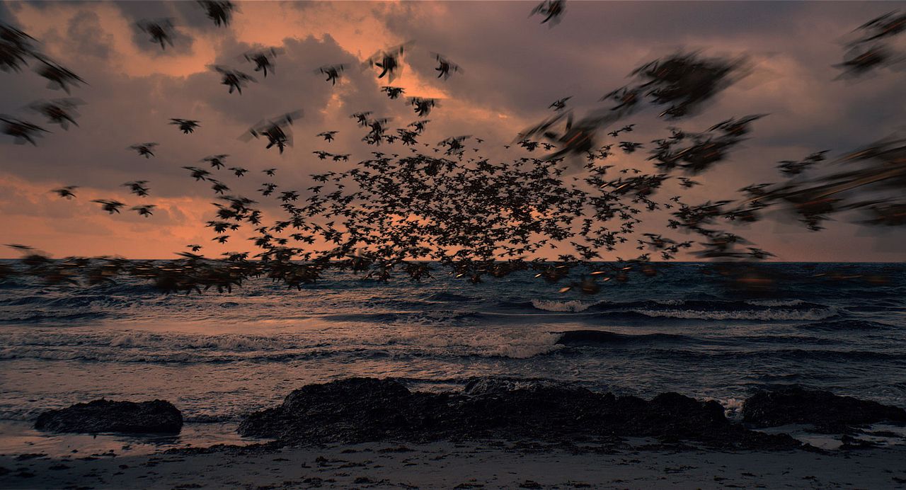 Jessica Forever : Foto