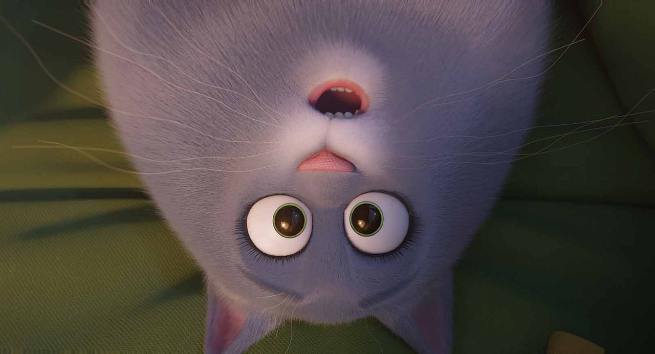 La vida secreta de tus mascotas 2 : Foto