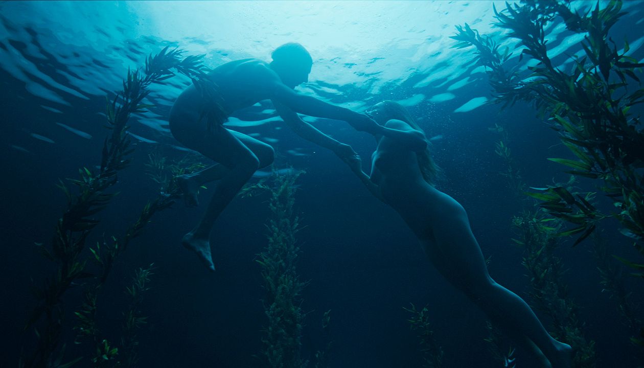 Dogs Don’t Wear Pants : Foto