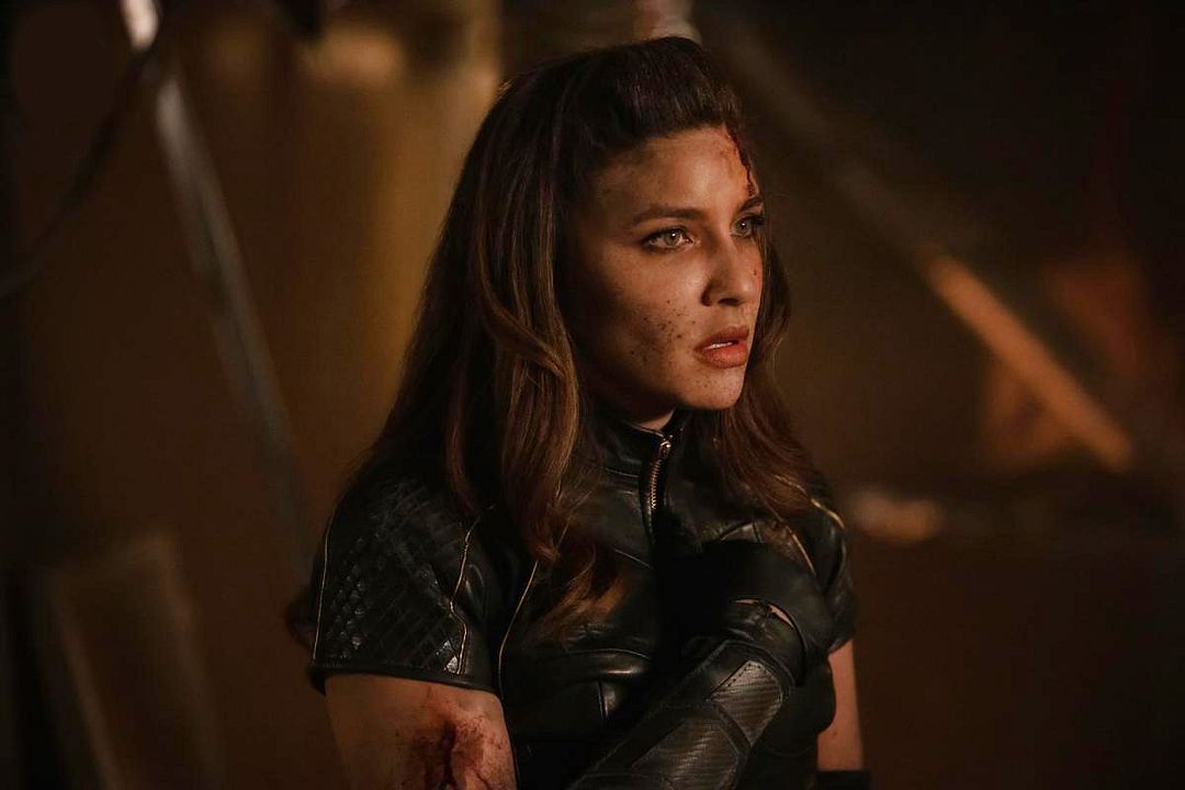 Arrow : Foto Juliana Harkavy
