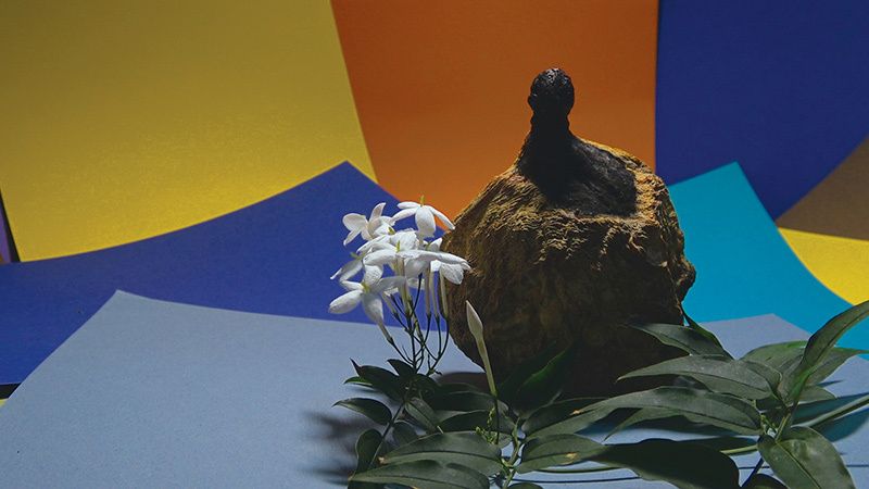 Être vivant et le savoir : Foto