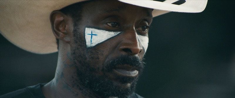 Bull : Foto Rob Morgan (IV)