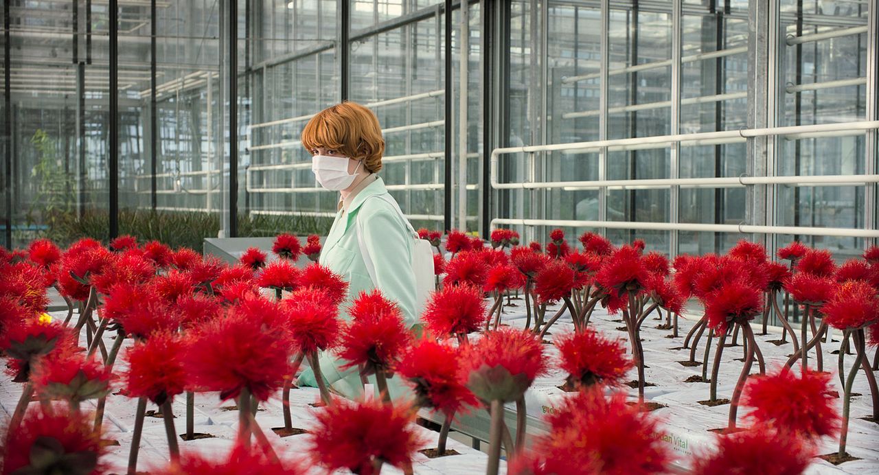 Little Joe: La Flor de la Felicidad : Foto Emily Beecham