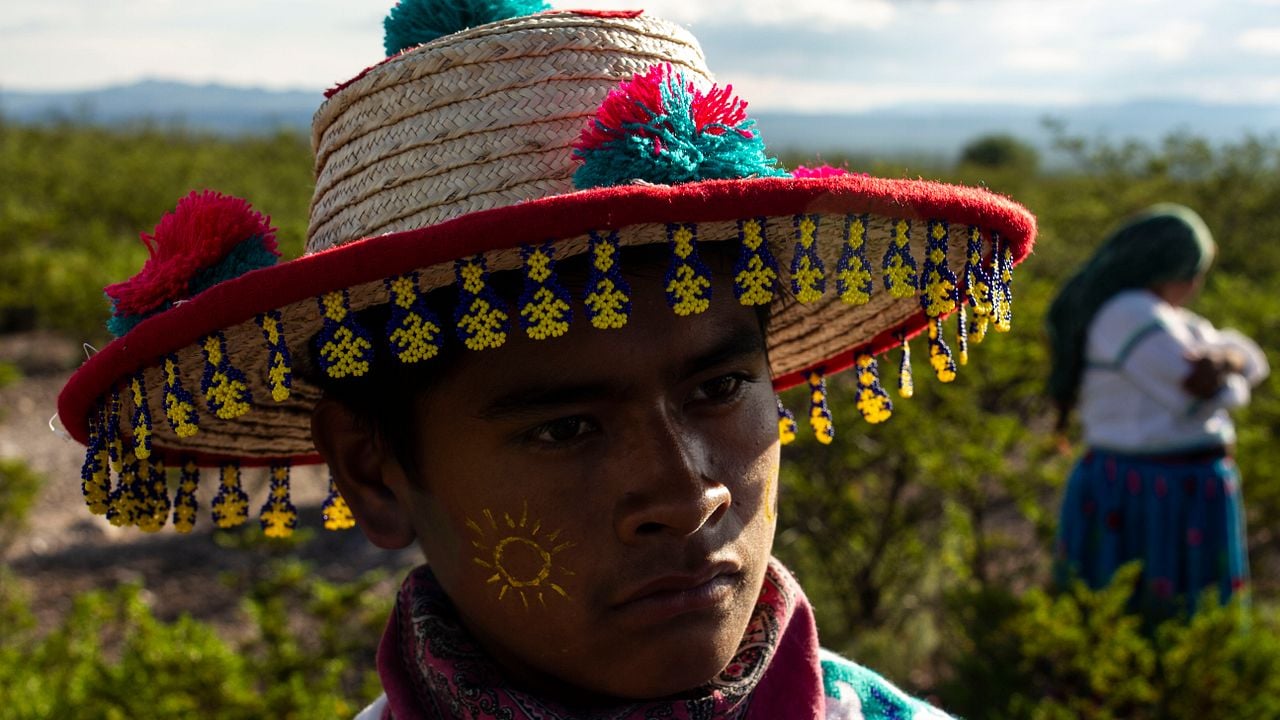 El sueño del Mara'akame : Foto