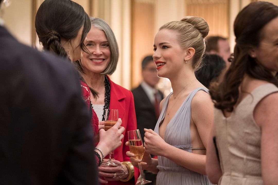 El jilguero : Foto Willa Fitzgerald