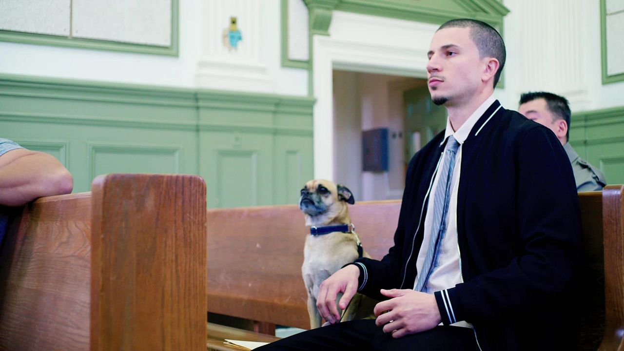 Los paseos de Bruno : Foto