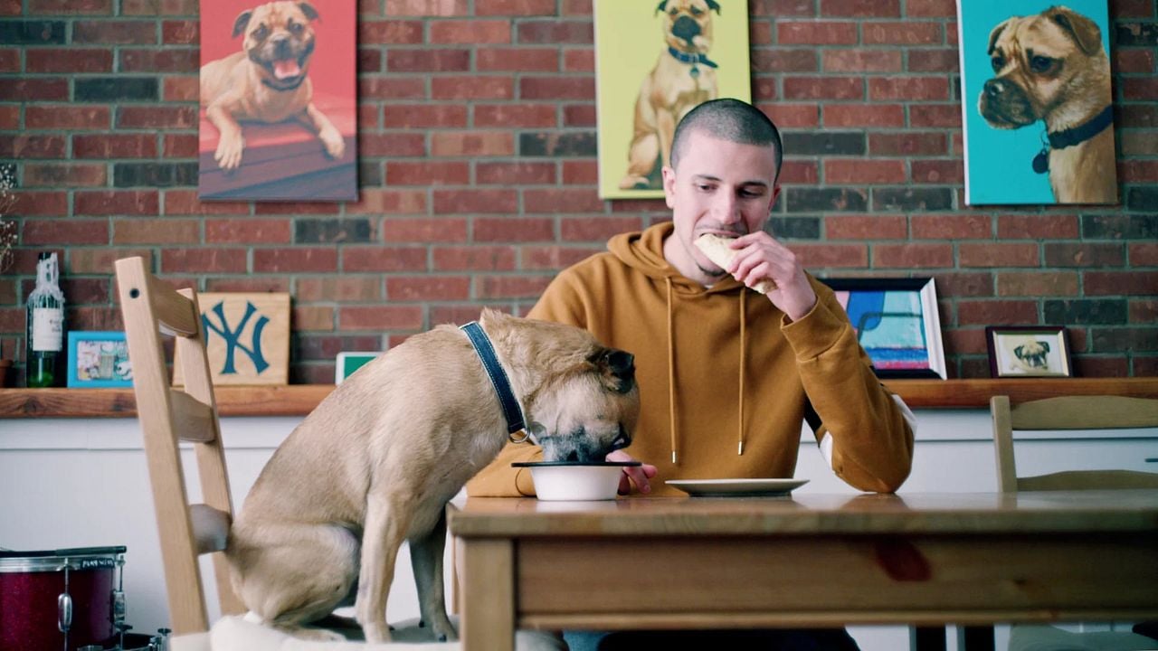 Los paseos de Bruno : Foto