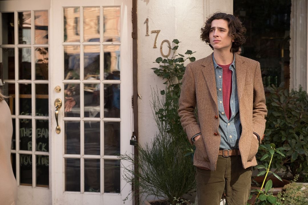 Un día lluvioso en Nueva York : Foto Timothée Chalamet