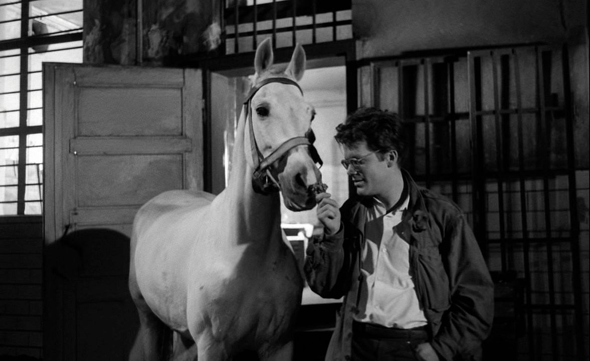 Cenizas y diamantes : Foto