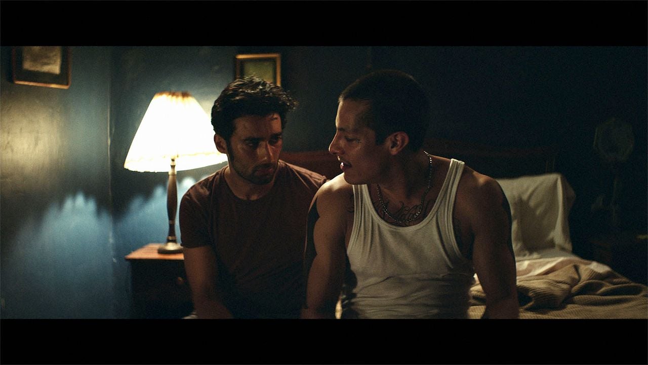 Luciérnagas : Foto Arash Marandi, Luis Alberti