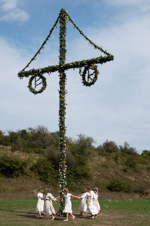 Midsommar - El terror no espera la noche : Foto