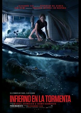 Infierno en la tormenta : Póster