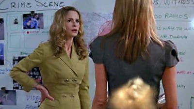 The Closer : Póster