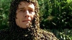 Malcolm el de en medio : Póster