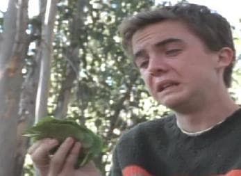 Malcolm el de en medio : Póster