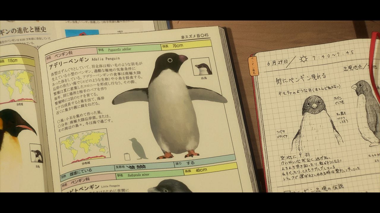 Autopista Pingüino : Foto