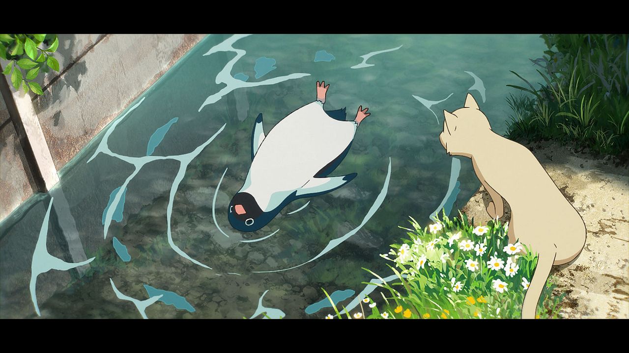 Autopista Pingüino : Foto