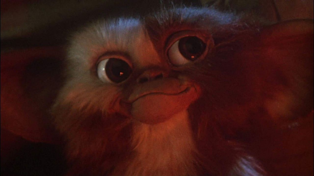 Gremlins : Foto